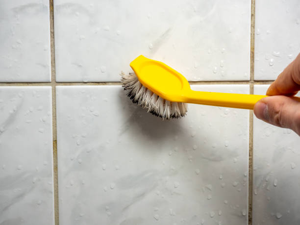 Best Fast Mold Removal  in Oxford, IN