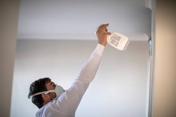 Best Certified Mold Removal  in Oxford, IN