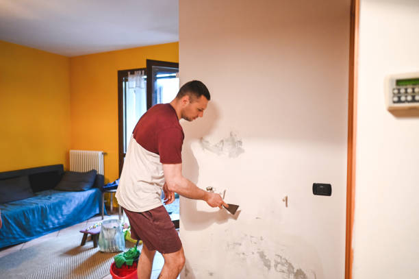 Best Commercial Mold Removal  in Oxford, IN